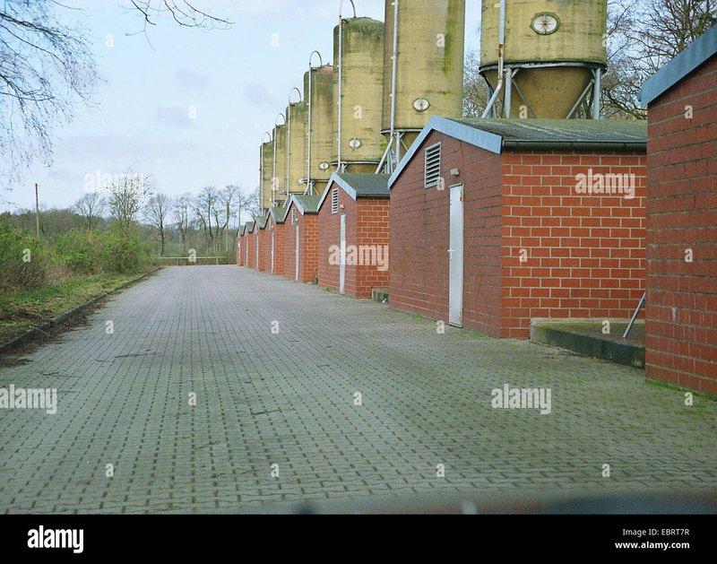 Best chicken road 2 game in Germany Best chicken road 2 game in Germany