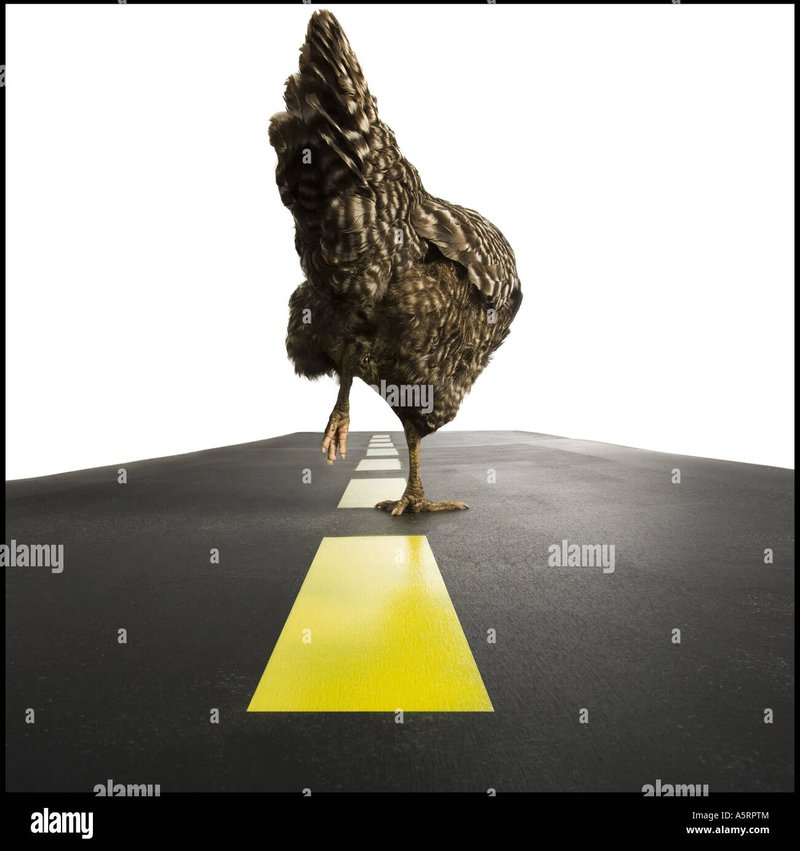 Descoperă chicken road demo