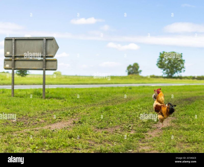 Image: Ontdek het Verlengde van Geluk met het Populaire Chicken Road Game